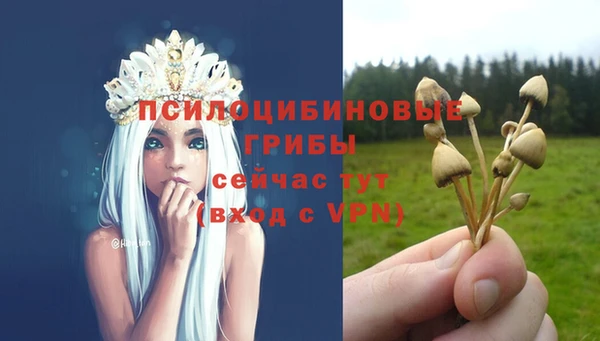 ГАЛЛЮЦИНОГЕННЫЕ ГРИБЫ Абдулино