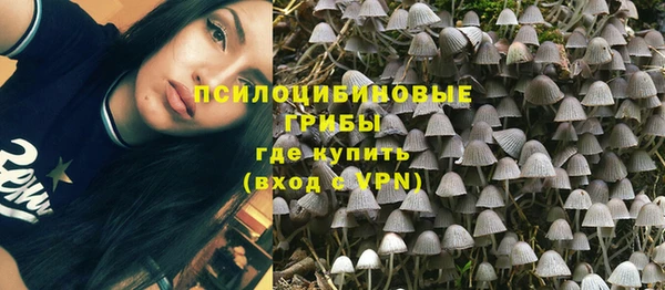 ГАЛЛЮЦИНОГЕННЫЕ ГРИБЫ Абдулино