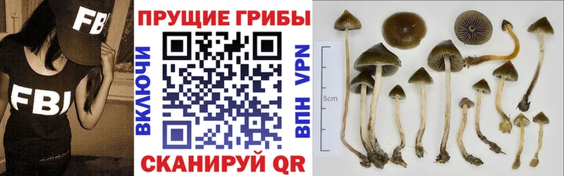 Галлюциногенные грибы MAGIC MUSHROOMS  Приморско-Ахтарск 