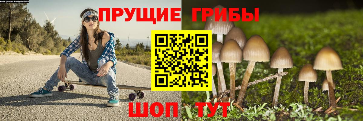 Галлюциногенные грибы MAGIC MUSHROOMS Приморско-Ахтарск