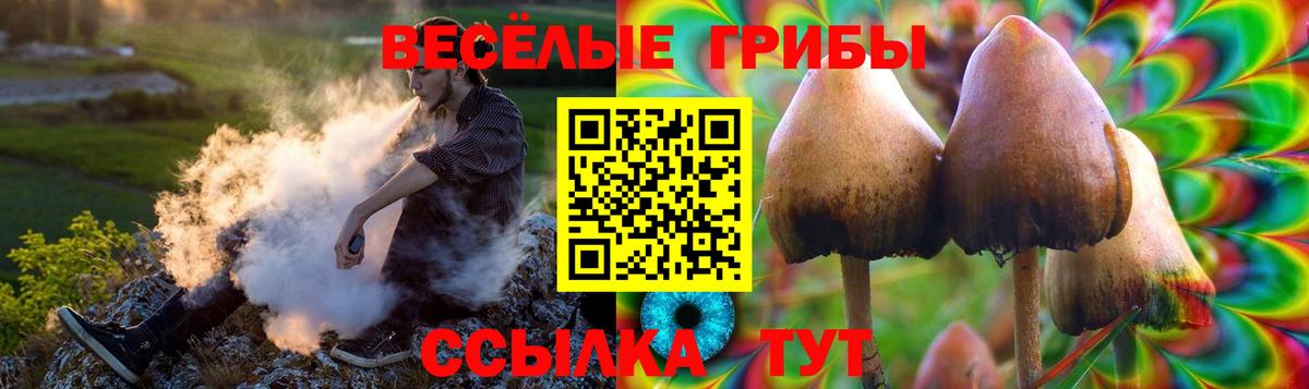 где продают   Псилоцибиновые грибы MAGIC MUSHROOMS  Вход с VPN  Приморско-Ахтарск 
